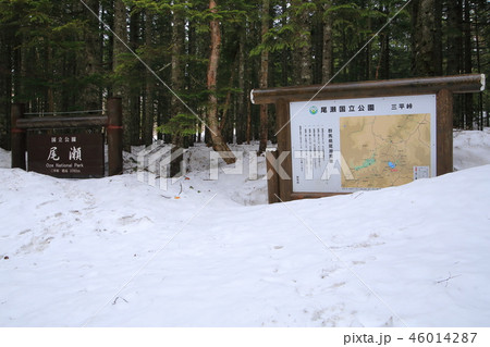 春の尾瀬沼 三平峠の雪で埋もれた看板 46014287