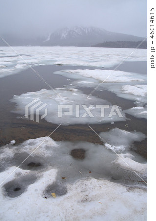 春の尾瀬 尾瀬沼南岸の山小屋付近の風景 46014615