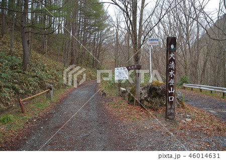 春の尾瀬 尾瀬沼に向かう大清水登山口 46014631