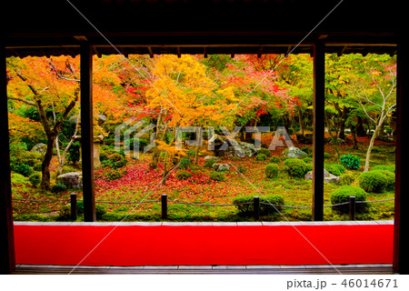 秋の圓光寺 46014671
