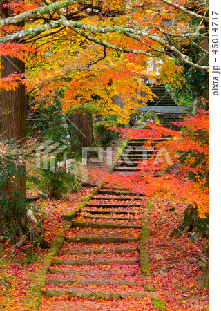 秋の龍穏寺 秋の龍穏寺 46014717