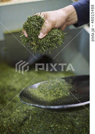 お茶工場 茶葉 お茶工場 茶葉 46015488