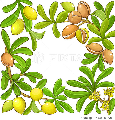 argan vector frame argan vector frame 46016156