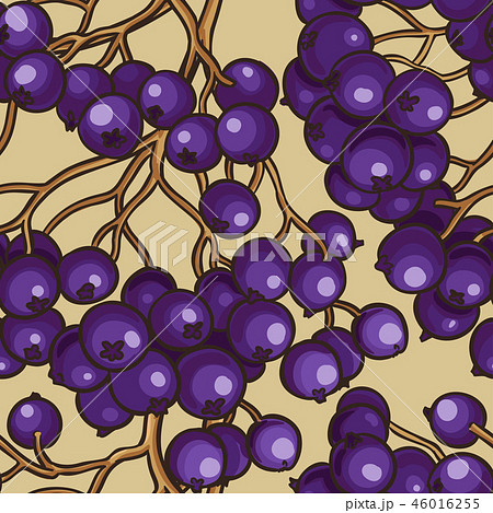 black rowan berries vector pattern black rowan berries vector pattern 46016255