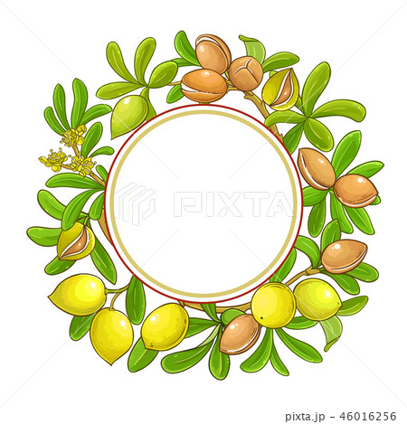 argan vector frame argan vector frame 46016256