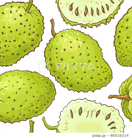 soursop vector pattern 46016314