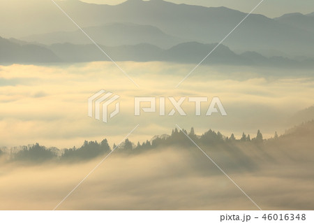 雲海スポット眺望雲海に浮かぶ森【長野県北安曇郡池田町】 46016348