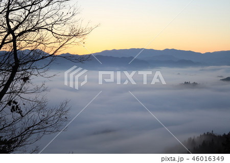 雲海と朝焼け 雲海スポットの眺望【長野県池田町】 46016349