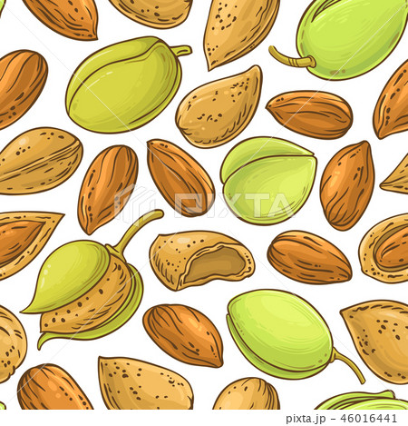 almond nuts vector pattern 46016441