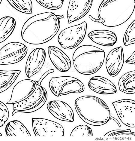 almond nuts vector pattern 46016448