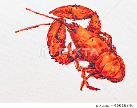 ロブスター 46016846