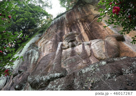 普光寺*12月 普光寺*12月 46017267