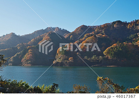 紅葉を迎えた宮ケ瀬湖 紅葉を迎えた宮ケ瀬湖 46017367