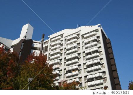 市営基町高層アパート 市営基町高層アパート 46017635