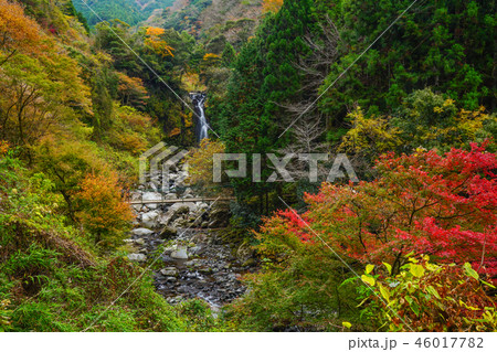 須津川渓谷 富士市 須津川渓谷 富士市 46017782