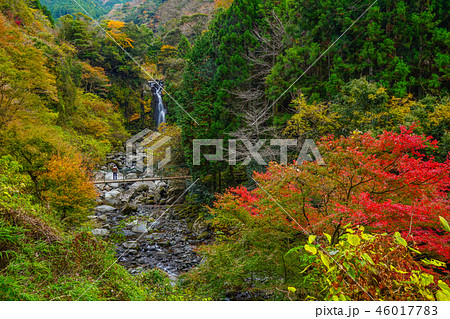 須津川渓谷 富士市 須津川渓谷 富士市 46017783