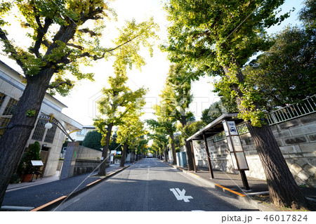 日本の東京都市景観  田園調布駅・復元駅舎前の街並みを望む 日本の東京都市景観  田園調布駅・復元駅舎前の街並みを望む 46017824