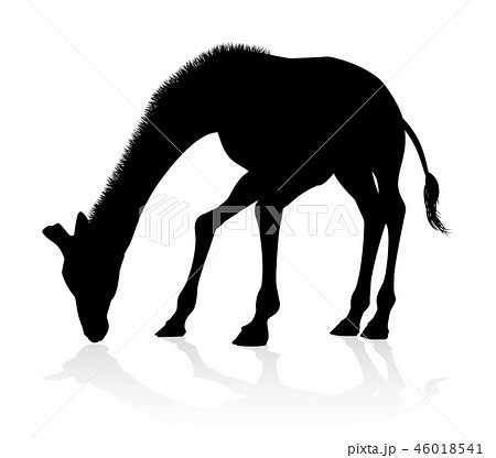 Giraffe Safari Animal Silhouette 46018541