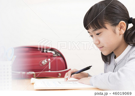 勉強する女の子 小学生 勉強する女の子 小学生 46019069