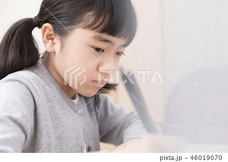 勉強する小学生　女の子 46019070