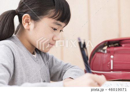 勉強　女の子　小学生 46019071
