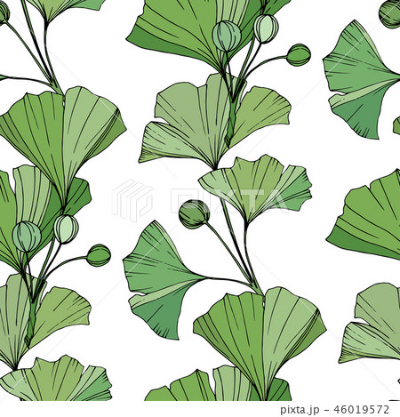 Vector. Green ginkgo leaf. Seamless background pattern. Fabric wallpaper print texture on white 46019572