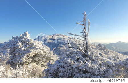 茂朱 徳裕山 雪景色 46019736