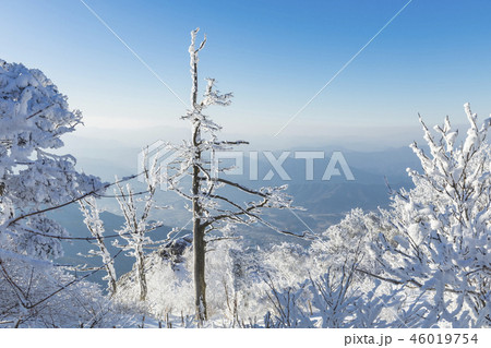 茂朱 徳裕山 雪景色 46019754