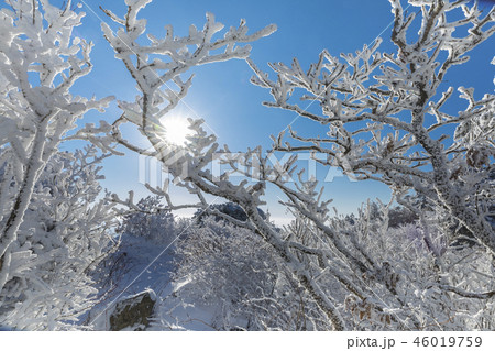 茂朱 徳裕山 雪景色 46019759