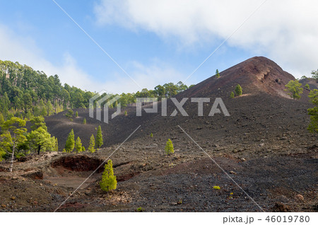 Chinyero hiking path start. Teide national park, Tenerife. 46019780