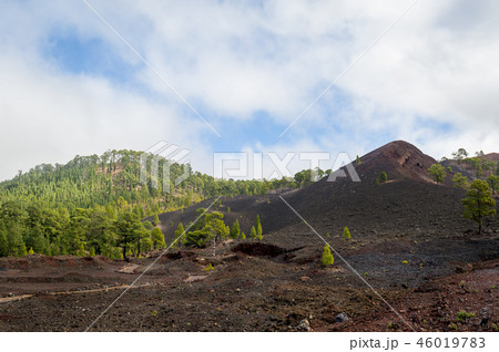 Volcanic landscape of Teide national park Volcanic landscape of Teide national park 46019783