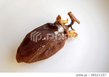 白カビが生えた干し柿の写真素材