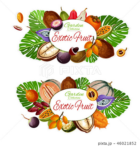 Natural exotic fruits, vegetarian food icons Natural exotic fruits, vegetarian food icons 46021852