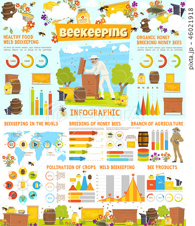 Infographic of beekeeping, statistics with charts Infographic of beekeeping, statistics with charts 46021918