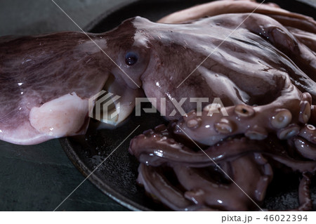 Whole fresh raw octopus on black plate. slate background Whole fresh raw octopus on black plate. slate background 46022394