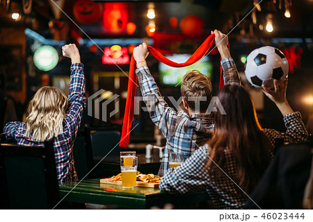 Group of football fans watching match in sport bar Group of football fans watching match in sport bar 46023444