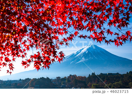 《山梨県》富士山と紅葉 46023715