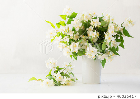 Beautiful bouquet of jasmine flowers in vase. Beautiful bouquet of jasmine flowers in vase. 46025417