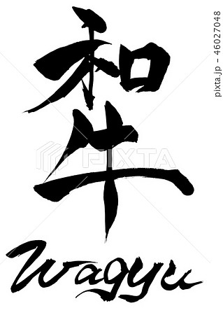 筆文字　Wagyu　和牛 46027048