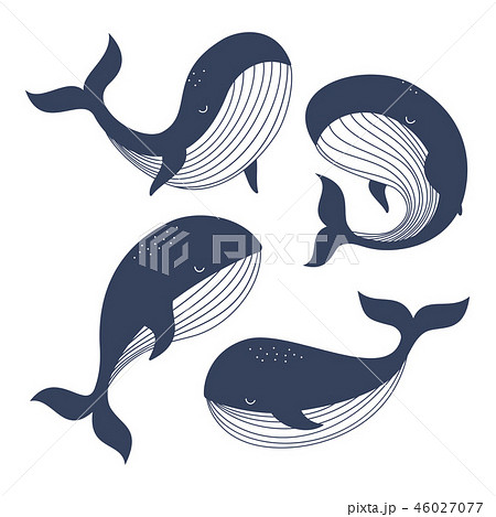 ピースフルクジラさんのイラスト原画◎ set with whalesのイラスト素材 [46027077] - PIXTA