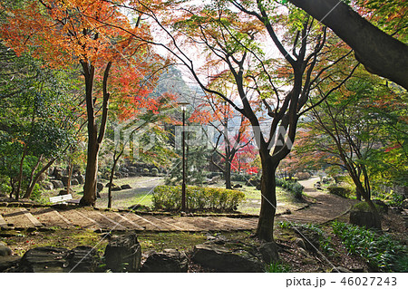 秋の七沢森林公園　園内の紅葉 46027243