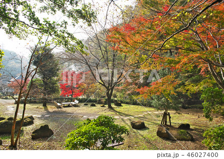 七沢森林公園 園内の紅葉 七沢森林公園 園内の紅葉 46027400