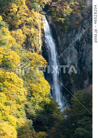 澗満滝の紅葉 46028204