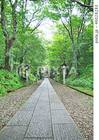那須温泉神社 新緑の参道 那須温泉神社 新緑の参道 46028283