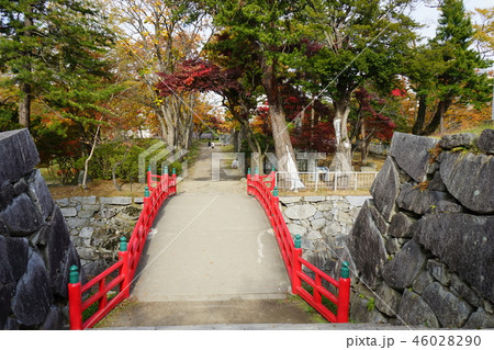 秋の盛岡城跡公園 46028290