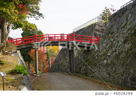秋の盛岡城跡公園 46028299