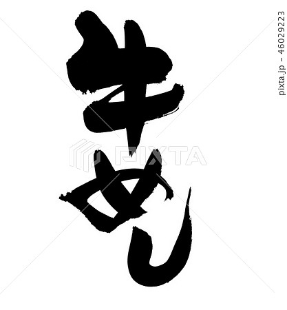筆文字　牛めし　食べ物　イラスト 46029223