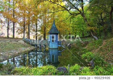 紅葉のあけぼの子どもの森公園　青い建物 46029406
