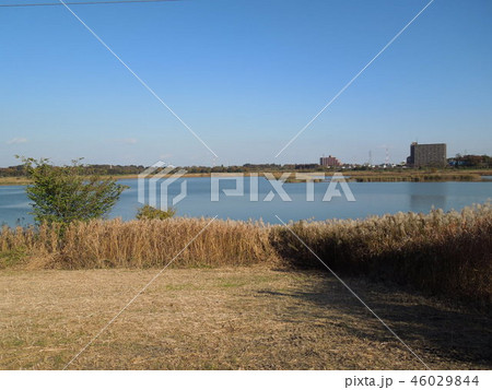 空気の澄んだ秋の芝川第一調整池 空気の澄んだ秋の芝川第一調整池 46029844