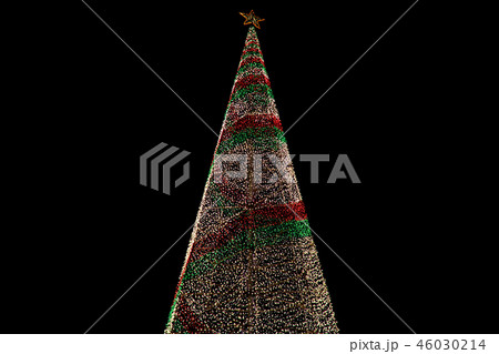 キレイに光ったクリスマスツリー 46030214